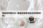 银皇后养殖方法（银皇后有毒吗适合在家里养吗）